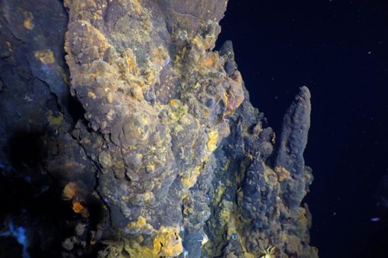First known off-axis, high-temperature deep sea hydrothermal vents
